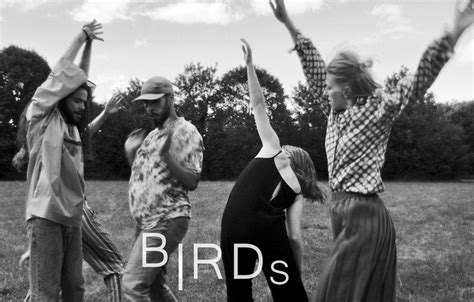 BIRDS