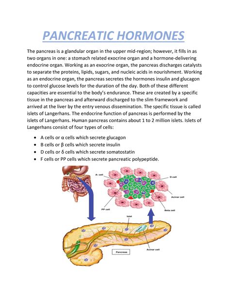 Pancreatic Hormones - PANCREATIC HORMONES The pancreas is a glandular ...