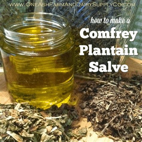 Homemade Comfrey Salve Recipe | The Prairie Homestead