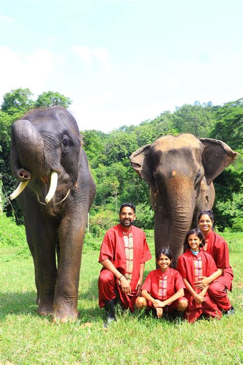 Our Elephant Rescue Park | Elephant Rescue Park