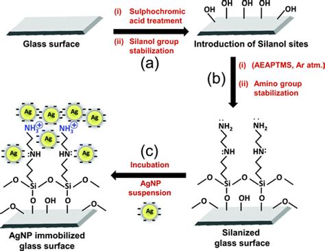 Immobilized silver nanoparticles enhance contact killing and show highest efficacy: elucidation ...