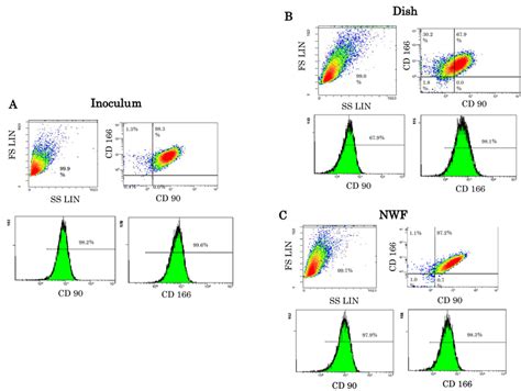 Flow cytometry analysis of CD90 (+) and CD166 (+) of MSCs. Percentages... | Download Scientific ...