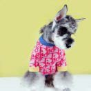 Dior designer dog sweaters | Christian Dior Luxury Designer Knit ...