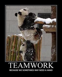 Teamwork quotes★♡♥ on Pinterest | Teamwork, Quotes On Teamwork and Inspirational Teamwork Quotes