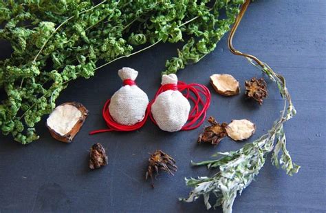 Harnessing the Power of Herbs for Protection: Ancient Wisdom Meets Modern Needs - Witch Symbols