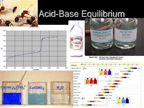 PPT - Acid-Base Equilibrium PowerPoint Presentation, free download - ID:6636433