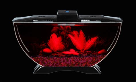 1 gal Deco Betta Kit with LED Lighting Aquarium Fish Tank View Gallon 49146010009 | eBay