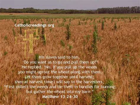 Parable of the Wheat and Tares (Weeds) - Bible Verse of the Day