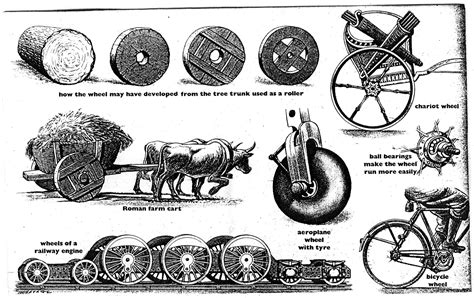 Evolution of the wheel | Evolution, Hindi worksheets, Infographic