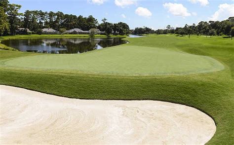 TPC Sawgrass - Dyes Valley Golf Course Tee Times - Ponte Vedra Beach FL