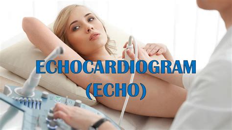 Echocardiogram (Echo) - Types, Indications, Patient Preparation ...