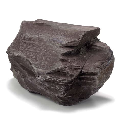 Gray Shale Sedimentary Rock | Sedimentary rocks, Sedimentary, Shale