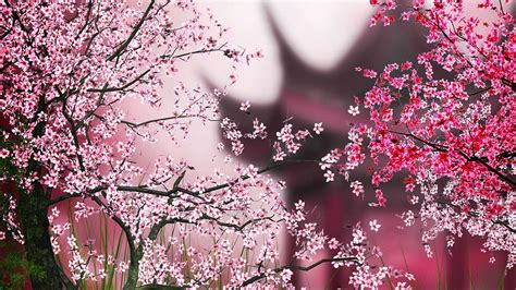 Sakura Live Wallpaper - Android Apps on Google Play