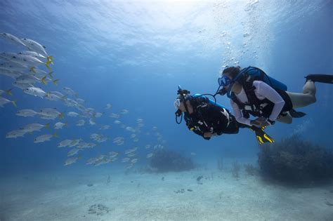 What Is Scuba Diving? (Explained Briefly)