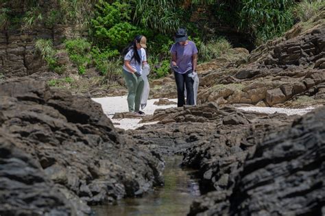 DVIDS - Images - Team Kadena holds beach clean-up [Image 4 of 8]