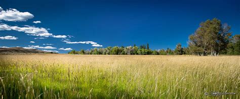 Grassy Meadow - Jeffrey Favero Fine Art Photography