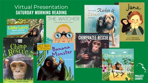 Learn about chimpanzee conservation - Project Chimps