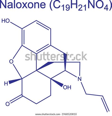 Naloxone Opioid Receptor Antagonist Medication Molecule Stock Vector ...