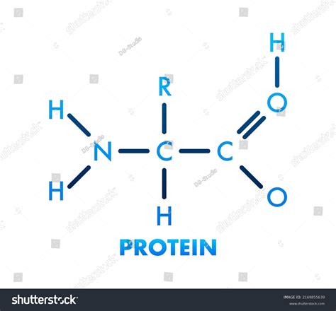 Chemical Structure Of Proteins