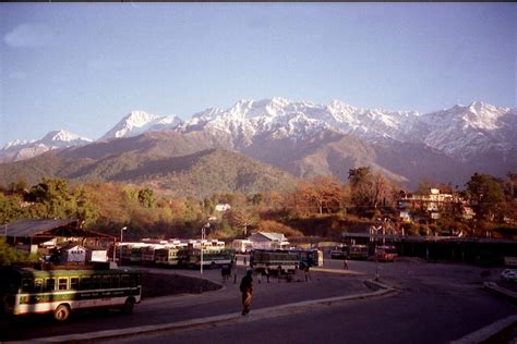 Palampur Himachal - India Travel Forum | IndiaMike.com