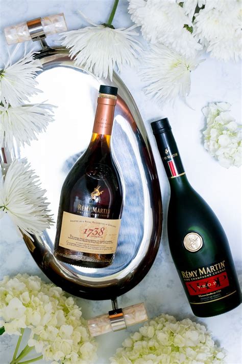 Remy-Martin-Cognac-cocktail-recipe-mentorship-sweepstakes-10 - Wishes & Reality