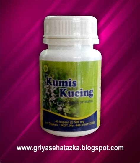 KUMIS KUCING | 081362070441 - jual obat herbal murah di surabaya