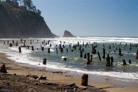 Ghost Forest, Neskowin, OR | These tree stumps, protruding f… | Flickr