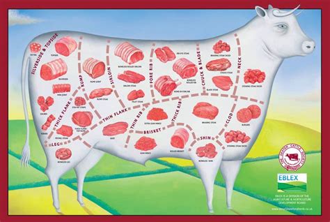 Beef Cuts | Beef cuts, Beef meat, Beef cuts diagram