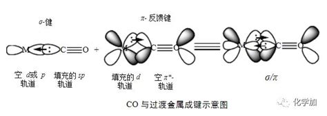 复旦又一篇《Science》！突破一般认知，碱土金属也能形成18电子羰基化合物_周鸣飞