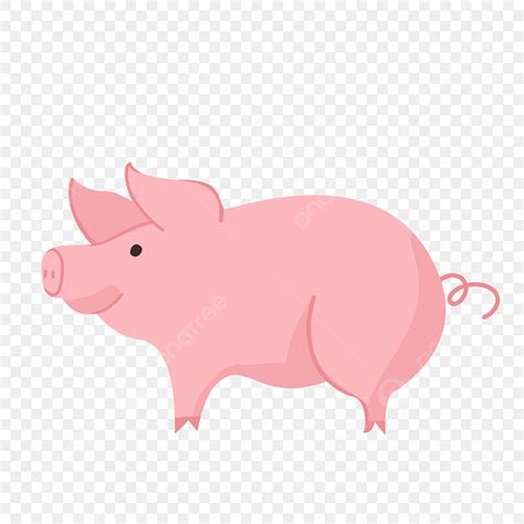 Pig White Transparent, Pig Vector, Pig Clipart, Pig Vector Illustration ...