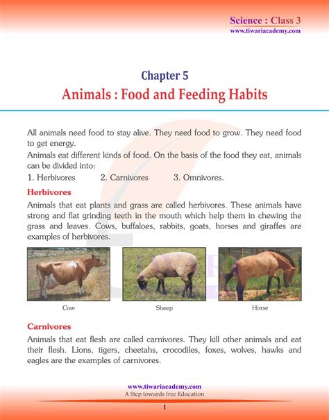 Top 159 + Animals and their food habits chart - Inoticia.net