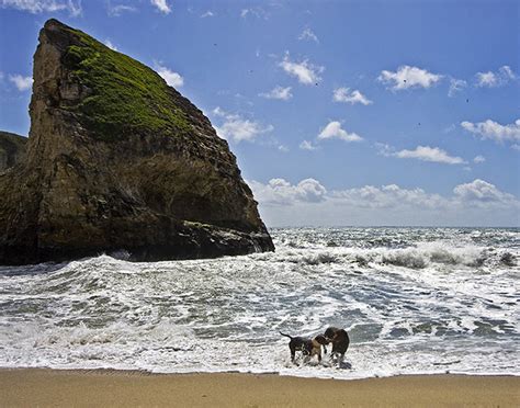 Shark's Tooth Beach | Flickr - Photo Sharing!