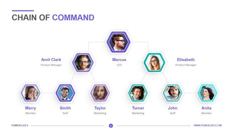 Chain Of Command In A Company Chart