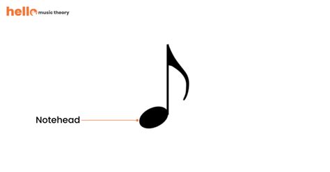 The Different Parts Of A Music Note