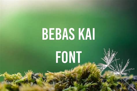 Bebas Kai Font Free Download