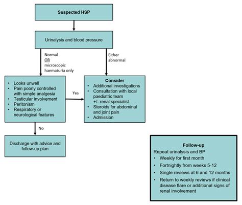 Henoch Schonlein Purpura In Adults