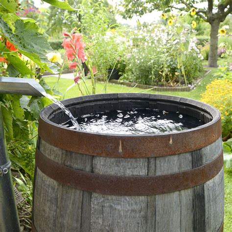 Learn how to use a rain barrel for irrigating your garden and ...