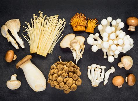 Different Varieties of Mushrooms — Westridge Fruit & Vegetables