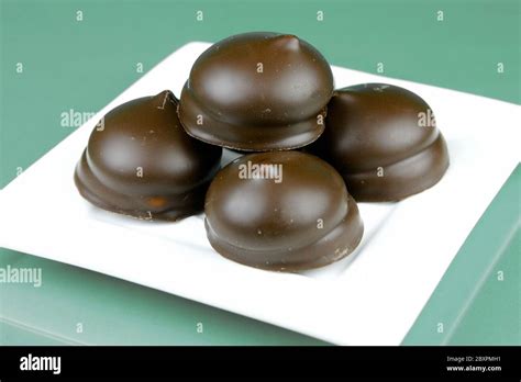 Chocolate marshmallow biscuits Stock Photo - Alamy