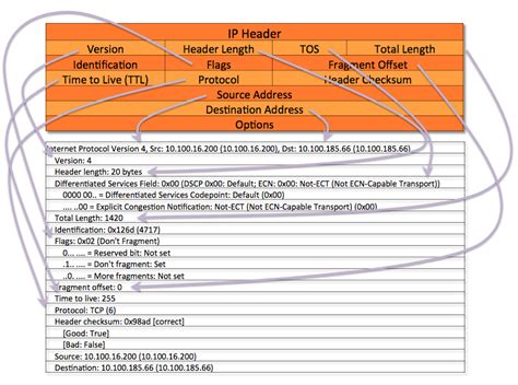 Ethernet Header Wireshark - fasrgay