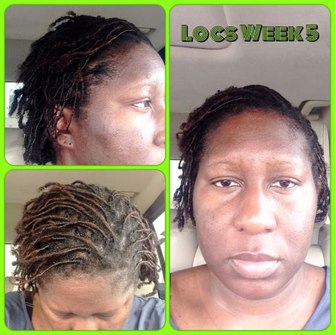 February 21, 2015 Starter locs week 5; Maintenance: Retwist #2, Palm ...