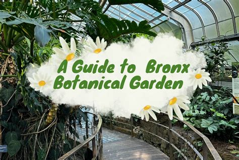 Botanical Garden Bronx, NYBG Bronx Guide