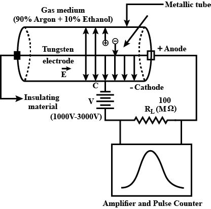 Explain the construction and working of a Geiger - Muller Counter.