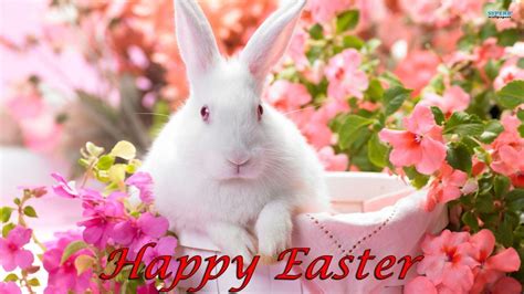 Easter Bunny Wallpapers Free - Wallpaper Cave