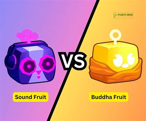 Is Sound Better Than Buddha? [Blox Fruits Guide]