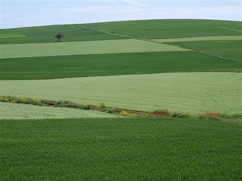 #Greece Thessaly fertile plains | Beautiful Greece | Pinterest | Other, The o'jays and Fine jewelry