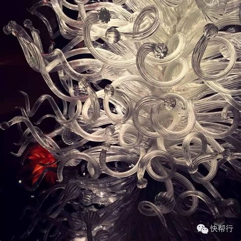 西雅图 | Chihuly玻璃艺术大师的奇幻之旅 - 知乎