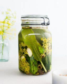 How to Make Sour Pickles (Fermented Pickle Recipe) - Nourished Kitchen