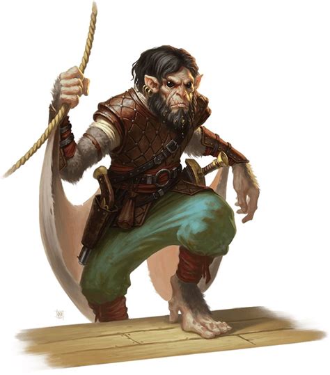 Hadozee in 2024 | Dungeons and dragons characters, Dnd characters, Character portraits