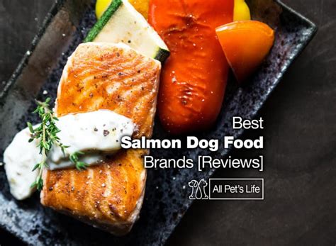 12 Best Salmon Dog Food Brands [2021 REVIEWS] - All Pet's Life